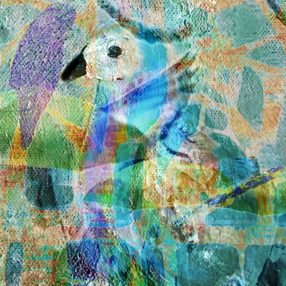 Birds 12” x 12” archival fine art signed prints. Limited